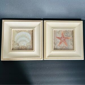 Scallop Starfish Wall Art Coastal Sea Swirl Set Of 2 Nautical Theme Seashells